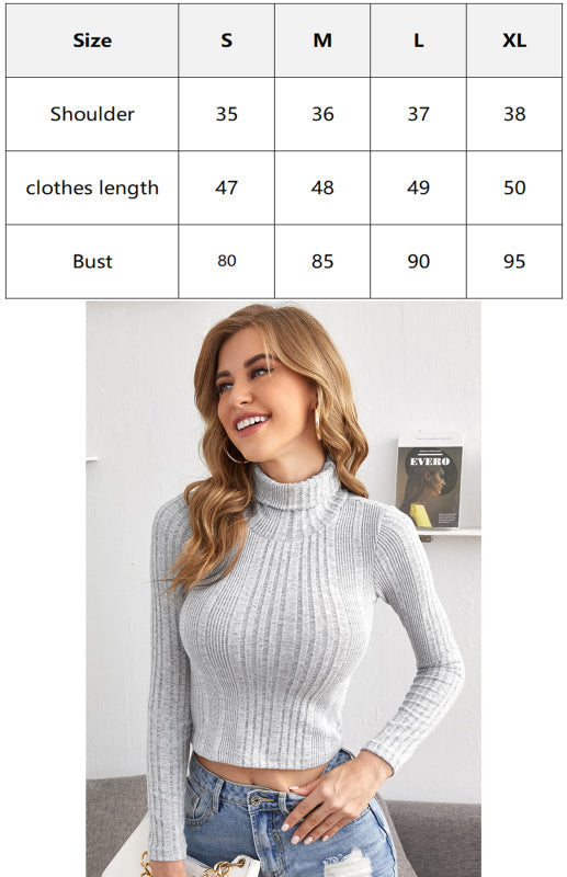 Women'S Skinny Pit Strip Turtleneck Sweater