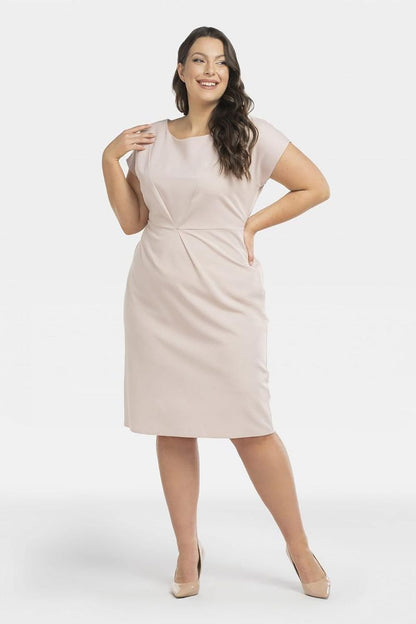 Plus Size Pencil Dress with Stitching