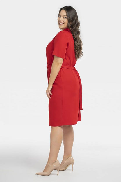 Plus Size Wrap Dress with Pockets