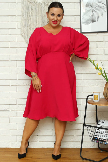 Plus Size Fit and Flare Dress