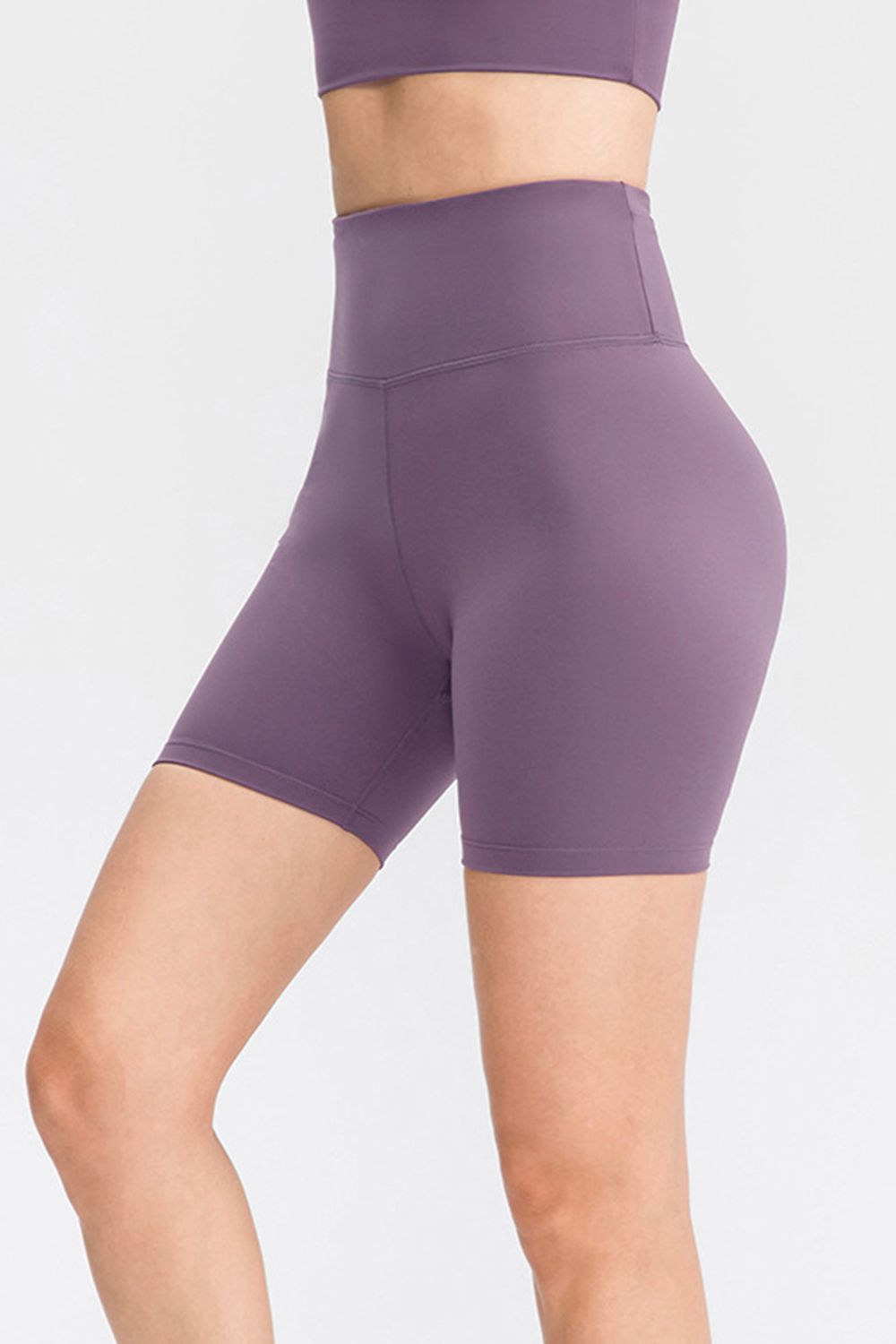 Wide Waistband Sports Shorts Mauve